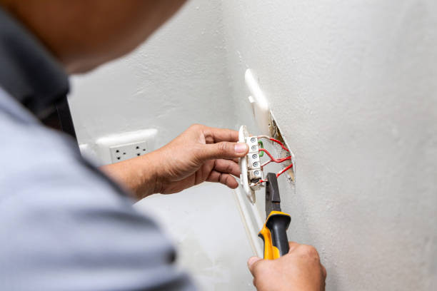 Best Electric Panel Repair  in Clear Lake Shores, TX